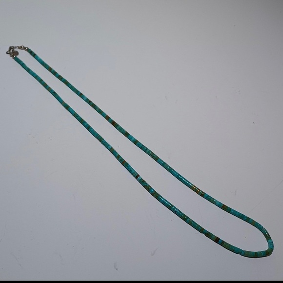 JLR Janice Lee Ripley Green Turquoise Necklace 24 inch long sterling clasp - Picture 1 of 4